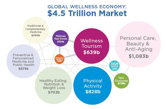 Wellness economy and industry growth chart